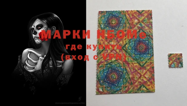 шишки Пестово