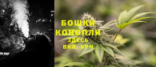 ПСИЛОЦИБИНОВЫЕ ГРИБЫ Валдай