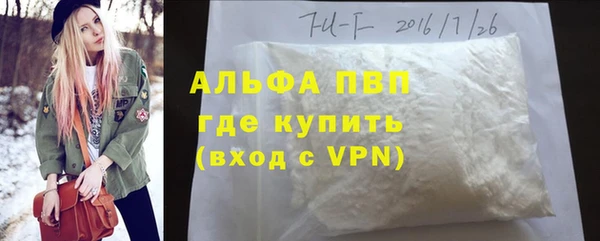 шишки Пестово