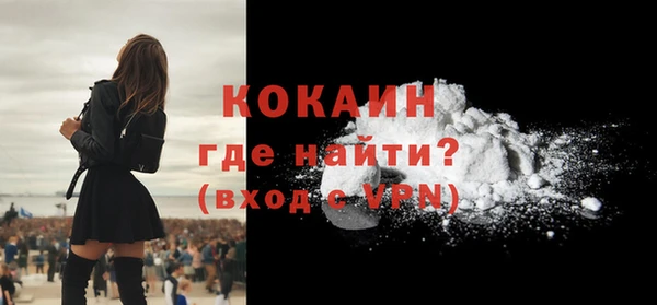 шишки Пестово
