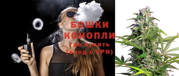 шишки Пестово