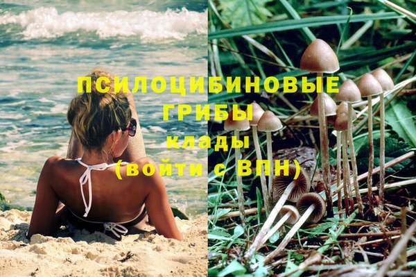 винт Алексин