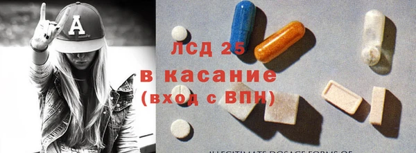 шишки Пестово